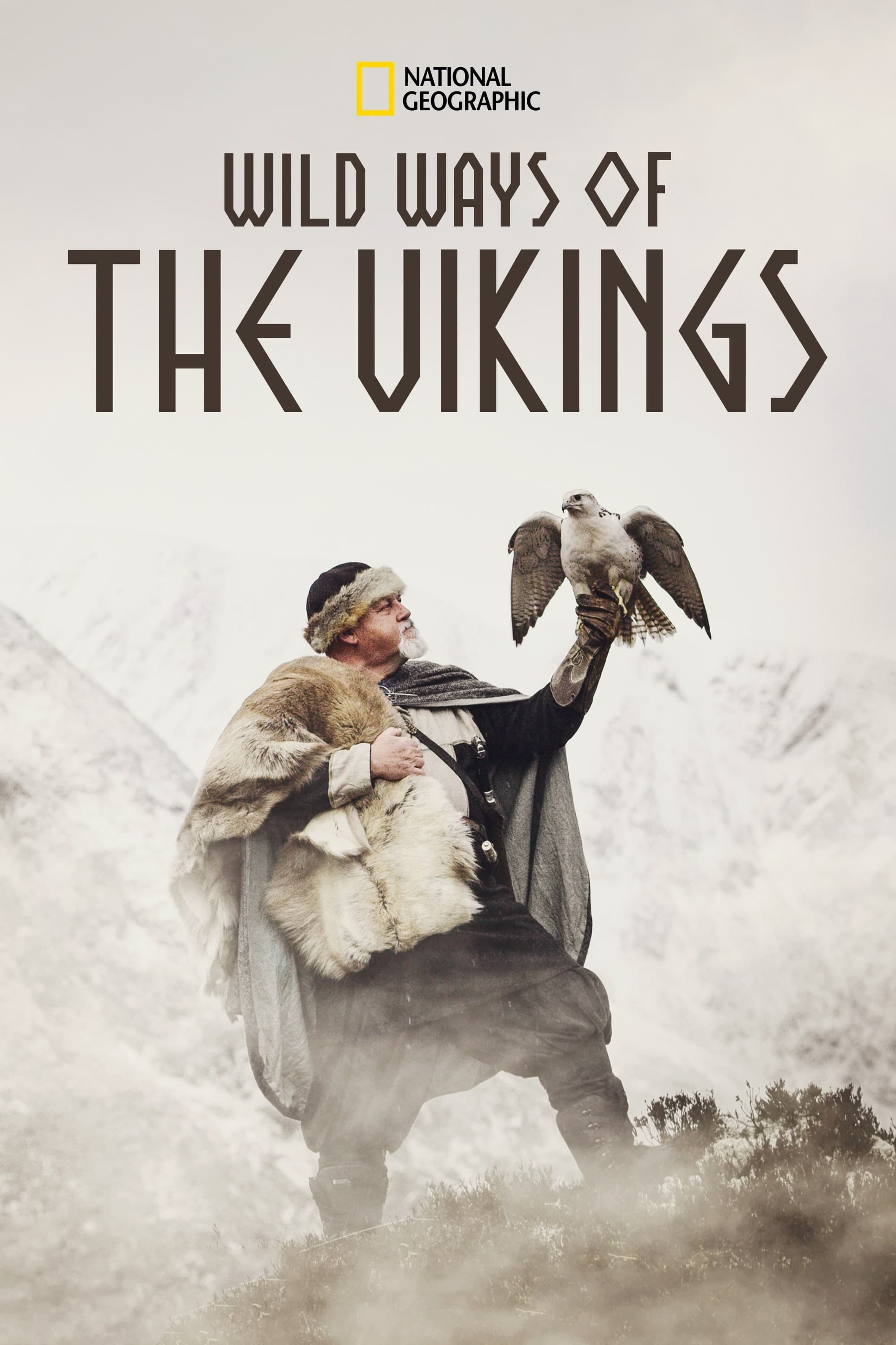 Постер Wild Ways of the Vikings